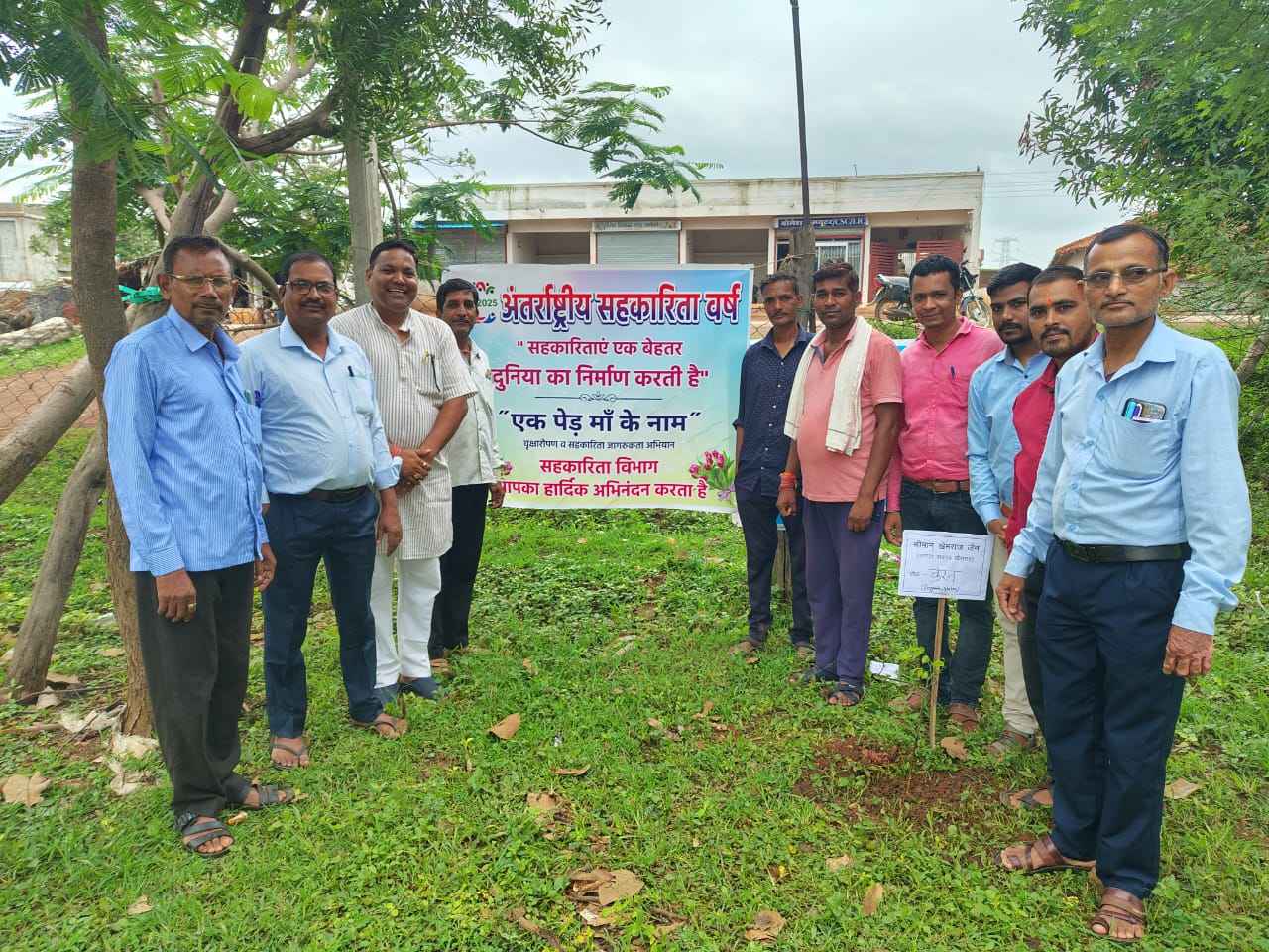खैरागढ़. ग्राम सलौनी में अंतर्राष्ट्रीय सहकारिता वर्ष 2025 के अंतर्गत वृक्षारोपण कार्यक्रम, सहकारिता को हरियाली से जोड़ने की प्रेरणादायक पहल